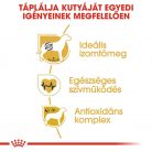 Royal Canin Breed Health Nutrition Boxer adult száraz kutyaeledel 12kg