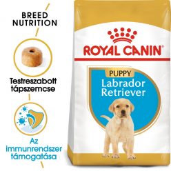   Royal Canin Breed Health Nutrition Labrador száraz kutyaeledel junior 12kg