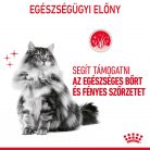 Royal Canin Feline Care Nutrition Intense Beauty macska tasak 12x85g