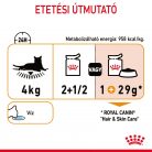 Royal Canin Feline Care Nutrition Intense Beauty macska tasak 12x85g