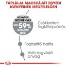 Royal Canin Feline Care Nutrition Oral Care száraz macskaeledel 400g