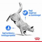 Royal Canin Feline Care Nutrition Light Weight Care száraz macskaeledel 400g