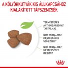 Royal Canin Size Health Nutrition Mini puppy száraz kutyaeledel 800g