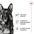 Royal Canin Size Health Nutrition Maxi adult 5+ száraz kutyaeledel 4kg