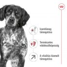 Royal Canin Size Health Nutrition Medium adult 7+ száraz kutyaeledel  15kg