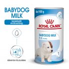 Royal Canin kutyatej pótló por 400g