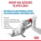 Royal Canin kutyatej pótló por 400g