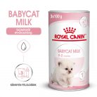 Royal Canin cicatej pótló por 300g