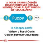 Royal Canin Breed Health Nutrition Golden Retriever puppy száraz kutyaeledel 12kg