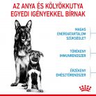 Royal Canin Size Health Nutrition Maxi starter Mother&Babydog száraz kutyaeledel 4kg