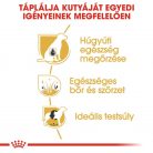 Royal Canin Breed Health Nutrition Bichon Frisé adult száraz kutyaeledel 1,5kg