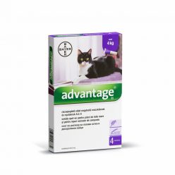   Advantage bolha elleni spot-on 4kg feletti macskáknak 4x0,8ml