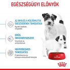 Royal Canin Size Health Nutrition Mini starter Mother&Babydog száraz kutyaeledel 1kg