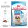 Royal Canin Size Health Nutrition Medium starter Mother&Babydog száraz kutyaeledel 1kg