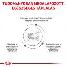 Royal Canin Veterinary Gastrointestinal emésztőszervi betegség száraz kutyaeledel 2kg