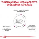 Royal Canin Veterinary Renal special vesebetegség ckd száraz macskaeledel 2kg