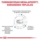 Royal Canin Veterinary Hypoallergenic hipoallergén száraz kutyaeledel 7kg