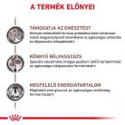 Royal Canin Veterinary Gastro fibre emésztés rostban gazdag száraz macskaeledel 400g