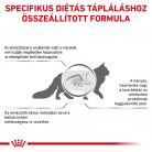 Royal Canin Veterinary Gastro fibre emésztés rostban gazdag száraz macskaeledel 400g