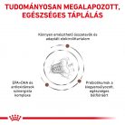 Royal Canin Veterinary Gastro fibre emésztés rostban gazdag száraz macskaeledel 400g