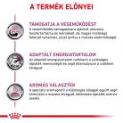 Royal Canin Veterinary Renal fish vesebetegség alutasak macskaeledel hal 12x85g