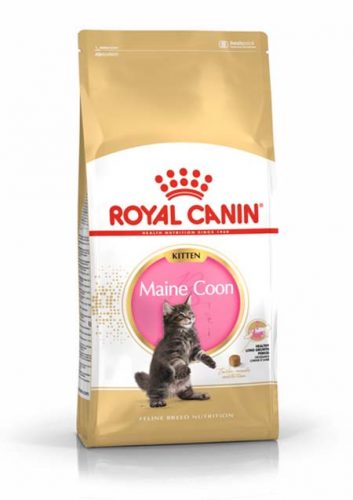 Royal Canin Feline Breed Nutrition Maine Coon kitten száraz macskaeledel 2kg