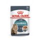 Royal Canin Feline Care Nutrition Hairball Care macska tasak 12x85g