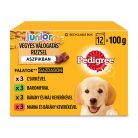 Pedigree kutya tasak MP junior aszpikos 12x100g