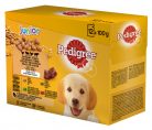 Pedigree kutya tasak MP junior aszpikos 12x100g