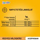 Pedigree kutya tasak MP junior aszpikos 12x100g