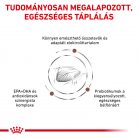 Royal Canin Veterinary Gastrointestinal emésztőszervi betegség száraz macskaeledel  4kg