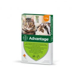   Advantage bolha elleni spot-on 4kg alatti macskáknak 1x0,4ml