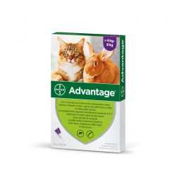   Advantage bolha elleni spot-on 4kg feletti macskáknak 1x0,8ml