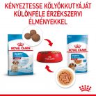 Royal Canin Size Health Nutrition Medium puppy kutya tasak 10x140g