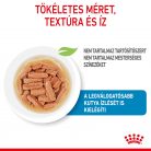 Royal Canin Size Health Nutrition Medium puppy kutya tasak 10x140g