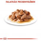 Royal Canin Size Health Nutrition Mini adult kutya tasak 12x85g