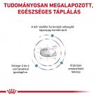 Royal Canin Veterinary Skin bőr és szőrtápláló száraz kutyaeledel 11kg