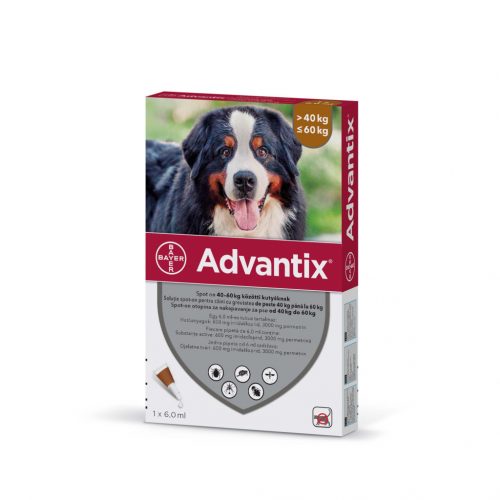 Advantix spot-on kutyáknak 40-60kg 1x6,0ml