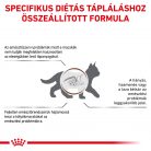 Royal Canin Veterinary Gastrointestinal emésztőszervi kölyök száraz macskaeledel  400g