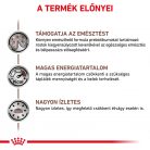 Royal Canin Veterinary Gastrointestinal emésztőszervi betegség száraz kutyaeledel 14kg