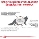 Royal Canin Veterinary Gastrointestinal hairball szőrlabda ellen száraz macskaeledel  2kg