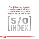 Royal Canin Veterinary Early Renal veseműködés támogatása alutasak macskaeledel 12x85g