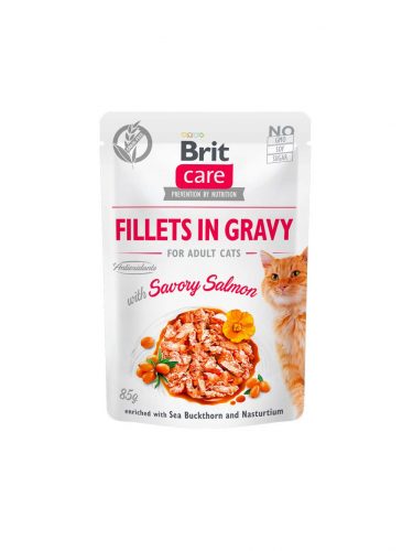 Brit Care macska tasak adult gravy lazac 24x85g