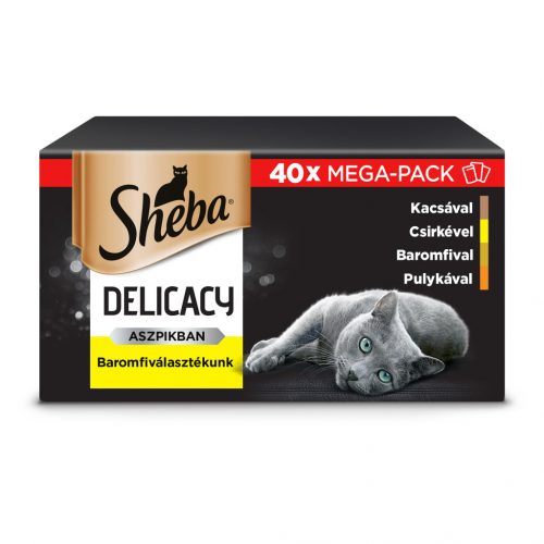 Sheba macska tasak MP szárnyas 40x85g