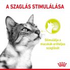 Royal Canin Sensory Smell macska tasak zselés 12x85g