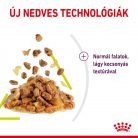 Royal Canin Sensory Smell macska tasak zselés 12x85g