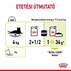 Royal Canin Sensory Smell macska tasak zselés 12x85g