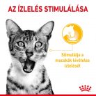 Royal Canin Sensory Taste macska tasak szósz 12x85g