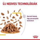 Royal Canin Sensory Taste macska tasak szósz 12x85g