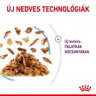 Royal Canin Sensory Feel macska tasak zselés 12x85g